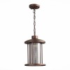 SL080.403.01 Светильник уличный подвесной ST-Luce Темный кофе/Прозрачный, Темный кофе E27 1*60W LASTERO
