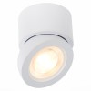 ST654.542.10 Светильник потолочный Белый LED 1*10W 4000K 850Lm Ra>90 38° IP20 D95xH96 180-240V Накладные светильники