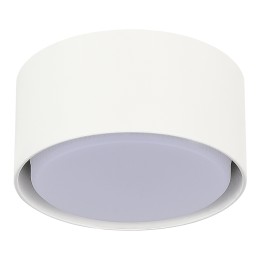 ST164.502.01 Светильник потолочный Белый GX53 1*50W IP20 D85xH40 220V Без ламп Накладные светильники