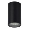 SL9010.412.01 Светильник уличный потолочный ST-Luce черный GU10 1*50W TUBO