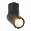 ST650.442.10 Светильник потолочный Черный LED 1*10W 4000K 800Lm Ra>90 38° IP44 D62xH151 165-265V Накладные светильники