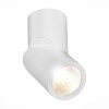 ST650.532.10 Светильник потолочный Белый LED 1*10W 3000K 800Lm Ra>90 38° IP44 D62xH151 165-265V Накладные светильники